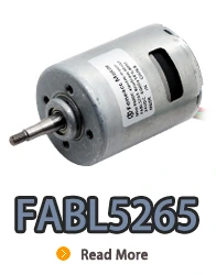 BL5265I, BL5265, B5265m, 52 mm de rotor interno pequeño Motor eléctrico de CC sin escobillas.webp