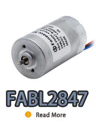 Motor eléctrico de CC sin escobillas de rotor interno FABL2847 con controlador incorporado