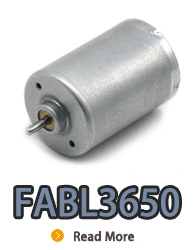 Motor eléctrico de CC sin escobillas de rotor interno FABL3650 con controlador incorporado